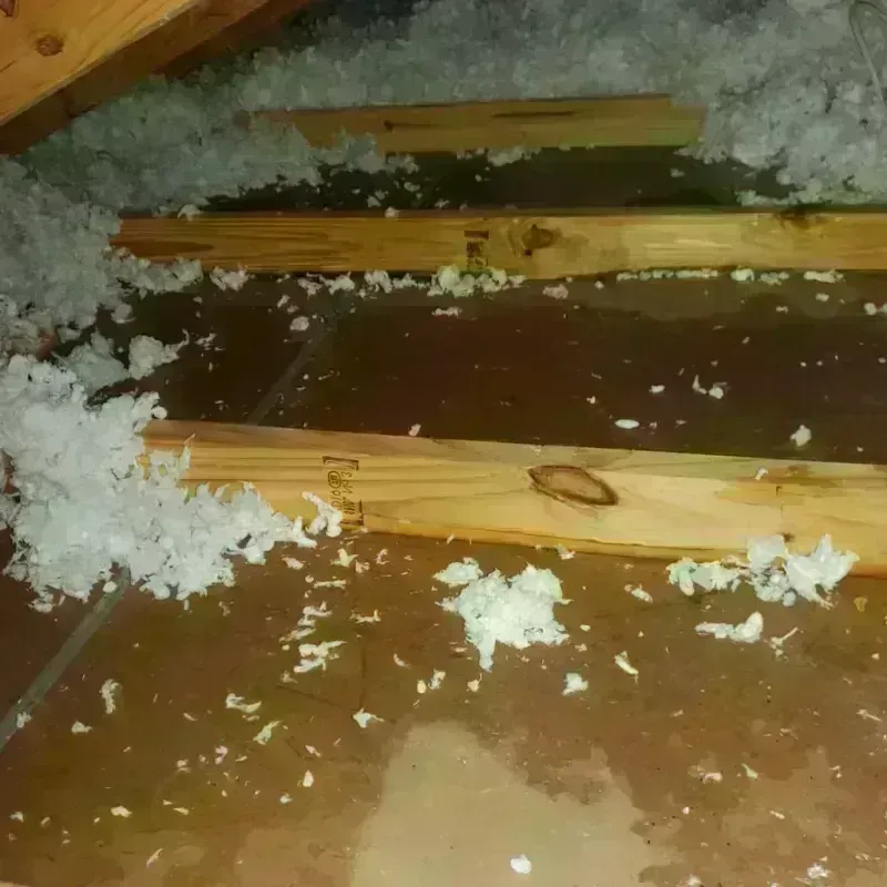 Attic Water Damage in Choccolocco, AL